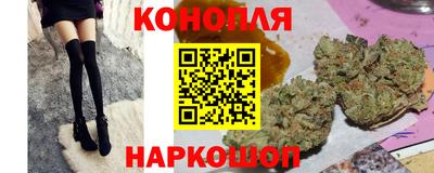прущие грибы Будённовск