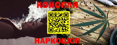 прущие грибы Будённовск