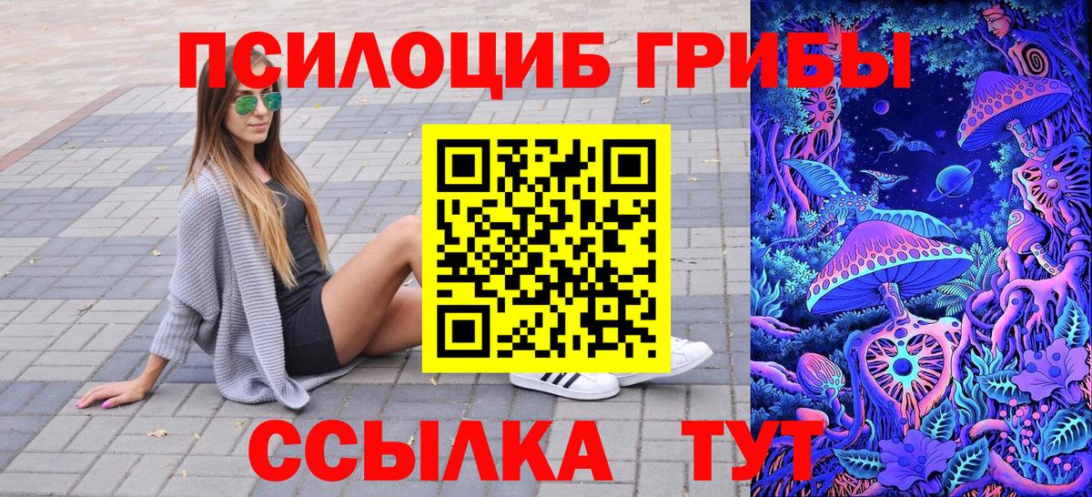 Галлюциногенные грибы Cubensis Элиста