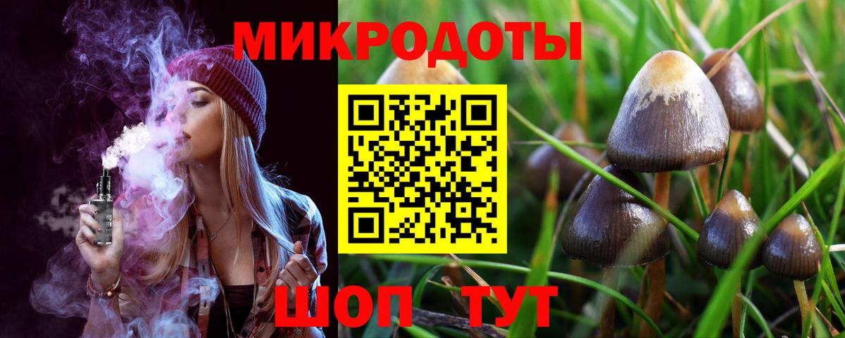 Элиста  Галлюциногенные грибы ЛСД  Вход с VPN 